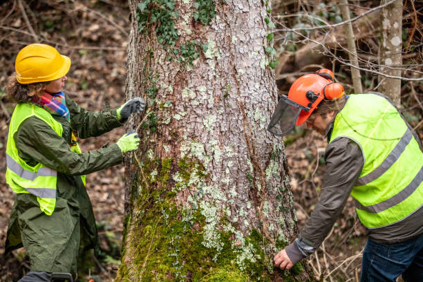 Best Tree Preservation Services  in Elizabeth, PA